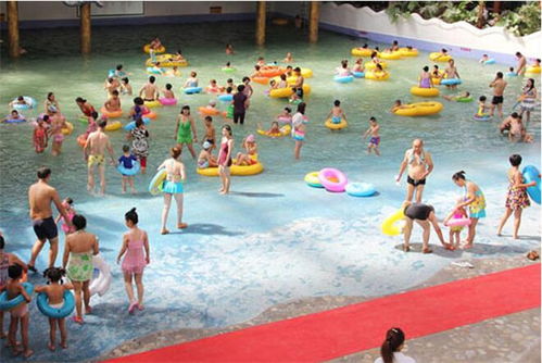 鼓風(fēng)造浪設(shè)備誠信商家 天新游藝品類齊全