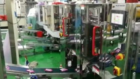 松可食品自動(dòng)包裝機(jī)械 人工投料包裝機(jī) 廠家直銷正品批發(fā)