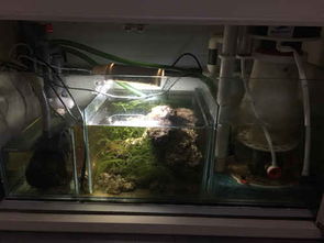 上岸清設(shè)備 福州魚友必備設(shè)備清單及養(yǎng)護(hù)建議